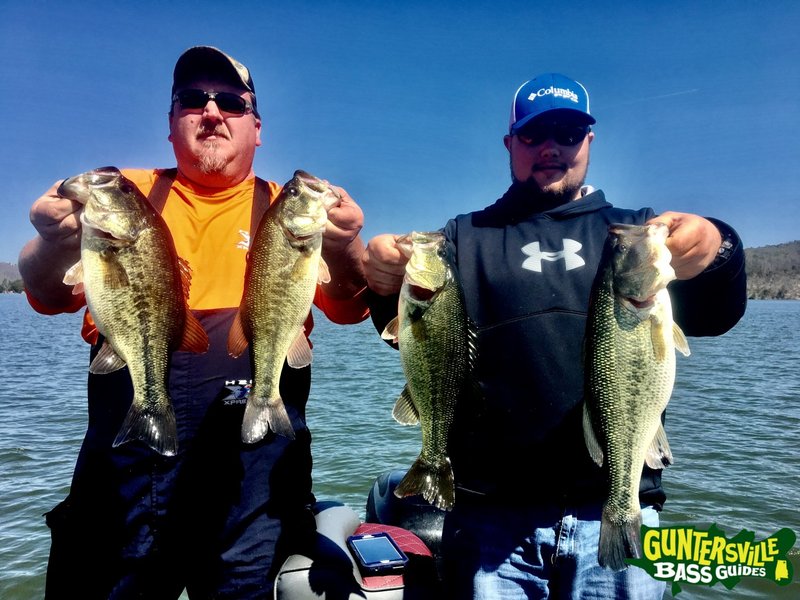 Best big bass splash in Germany